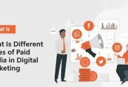 Different Types of Paid Media in Digital Marketing