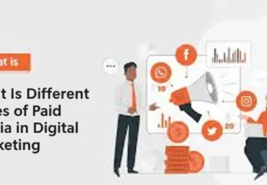 Different Types of Paid Media in Digital Marketing